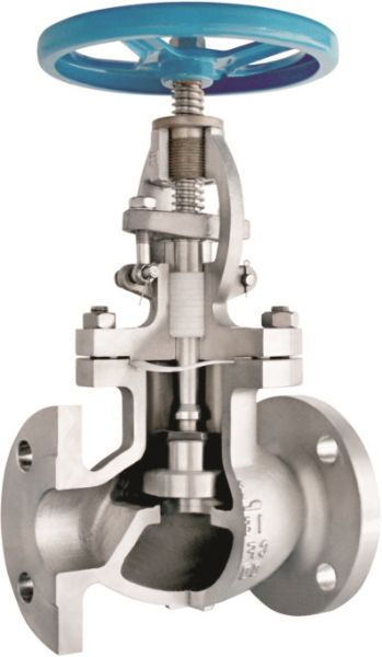 W020241121363309935752