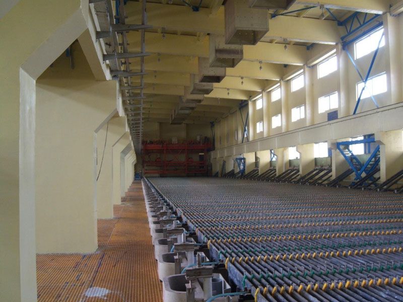 W020241121368844490971