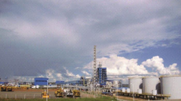 W020241121368846987935