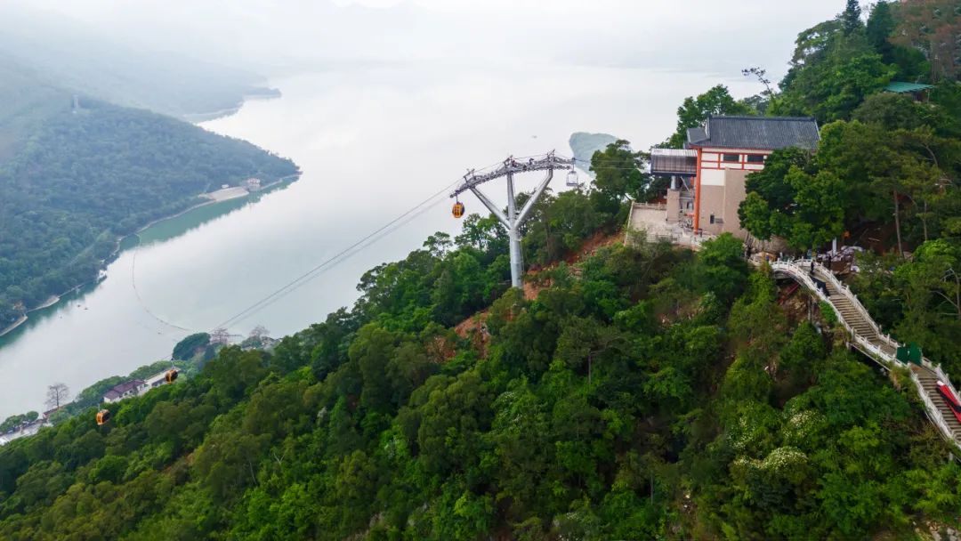 9001cc金沙以诚为本(中国)有限公司官网