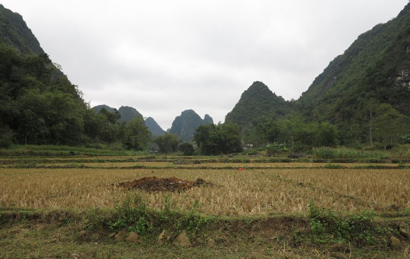 W020241119527185474736