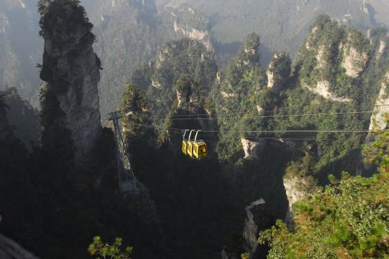 W020241119528338975872